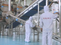 2025年的第一個月，承德亞歐果仁有限公司在山杏產(chǎn)業(yè)的道路上持續(xù)奮進，展現(xiàn)出蓬勃的發(fā)展活力。